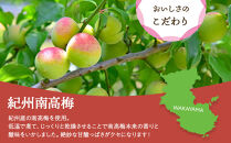 和歌山県産 丸ごと果実 ドライフルーツ 紀州南高梅 40g×3袋