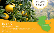 和歌山県産&nbsp;輪切り果実&nbsp;ドライフルーツ&nbsp;はっさく&nbsp;65g×3袋