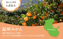 和歌山県産&nbsp;輪切り果実&nbsp;ドライフルーツ&nbsp;温州みかん&nbsp;65g×3袋