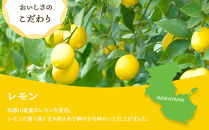 和歌山県産&nbsp;輪切り果実&nbsp;ドライフルーツ&nbsp;レモン&nbsp;65g×3袋