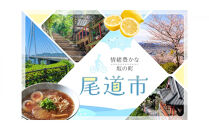 【瀬戸内れもんセット】尾道発&nbsp;ぶちうまぁーのり天と塩れもんやわらかいか天&nbsp;レモン味堪能セット