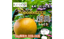 新興梨&nbsp;5kg箱詰め(鳥取県佐治町産)&nbsp;[あくつの梨]