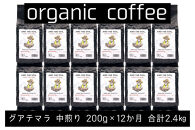 【定期便】AND THE SOIL.オリジナル焙煎オーガニックコーヒー豆GUA中煎り2400g　200g×12 か月【福岡高砂】