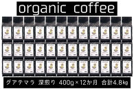 【定期便】AND THE SOIL.オリジナル焙煎オーガニックコーヒー豆GUA中煎り7200g　600g×12 か月【福岡高砂】