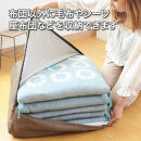 かけ布団がクッションになるふとん収納袋&nbsp;ブラウン(BR)