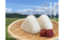 《令和7年産&nbsp;新米》【お米番付優秀賞受賞農家】日本一粒の大きいお米『いのちの壱』白米10kg