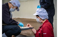 「黄金澤」山廃純米酒・純米吟醸 各720ml 2本セット