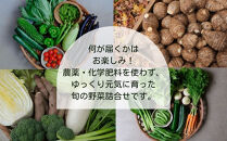 【よしだのはたけ】旬の野菜10品&nbsp;やさいBOX｜京都&nbsp;京北&nbsp;農家直送&nbsp;野菜&nbsp;人気セット&nbsp;[&nbsp;旬のお野菜&nbsp;新鮮&nbsp;おまかせセット&nbsp;美味しい&nbsp;産地直送&nbsp;野菜詰め合わせ&nbsp;野菜セット&nbsp;人気&nbsp;おすすめ&nbsp;ギフト&nbsp;プレゼント&nbsp;お取り寄せ&nbsp;通販&nbsp;送料無料&nbsp;ふるさと納税&nbsp;]