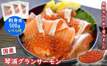 薬剤未使用で安心　国産とっとり琴浦グランサーモン刺身用500g&nbsp;いくら付&nbsp;訳あり&nbsp;小分け個包装で便利