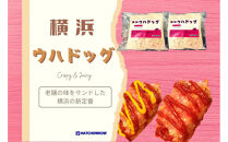 横浜ウハドッグ