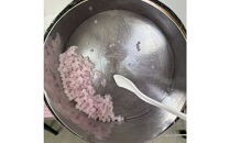 プレミアムこんぺいとう工房　体験チケット　【プラスお持ち帰り用瓶】