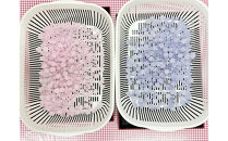 プレミアムこんぺいとう工房　体験チケット　【プラスお持ち帰り用瓶】