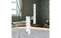 最高級純コットン スーピマコットンのふわとろケット　0.5kg