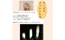 最高級純コットン スーピマコットンのふわとろケット　0.5kg