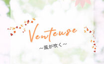 Venteuse～風が吹く～ブレンドアロマオイル