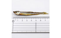 DearHounds&nbsp;こだわりの愛犬愛猫おやつ&nbsp;北海道産ワカサギジャーキー100g×2個&nbsp;合計200ｇ