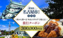 名古屋市&nbsp;後から選べる旅行Webカタログで使える！&nbsp;旅行クーポン（300,000円分）&nbsp;旅行券&nbsp;宿泊券