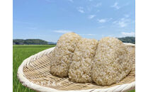 《令和7年産&nbsp;新米》【お米番付優秀賞受賞農家】日本一粒の大きいお米『いのちの壱』玄米20kg