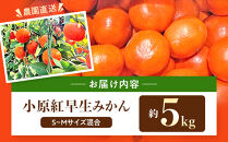 原田果樹農園直送！&nbsp;小原紅早生みかん&nbsp;約5kg（S~Mサイズ混合）数量限定