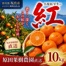 原田果樹農園直送！&nbsp;小原紅早生みかん&nbsp;約10kg（S~Mサイズ混合）数量限定