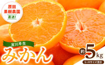 原田果樹農園直送！&nbsp;宮川早生みかん&nbsp;約5kg（S~Mサイズ混合）数量限定