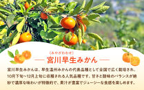 原田果樹農園直送！&nbsp;宮川早生みかん&nbsp;約5kg（S~Mサイズ混合）数量限定