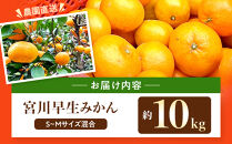 原田果樹農園直送！&nbsp;宮川早生みかん&nbsp;約10kg（S~Mサイズ混合）数量限定