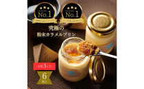 ［3ヶ月定期便］究極のカラメルプリン【砂プリン】6個セット