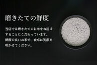 【全6回】令和7年産&nbsp;南魚沼産コシヒカリ「塩沢地区限定」精米&nbsp;3kg×2袋&nbsp;6ヶ月連続