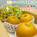 ［先行予約・2026年発送］朝採れ完熟シャインマスカットと和梨 大人気セット 約2kg