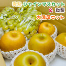 ［先行予約・2026年発送］朝採れ完熟シャインマスカットと和梨 大満足セット 約4kg