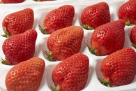 【2026年1月～2月出荷予定】完熟&nbsp;あまおう&nbsp;イチゴ&nbsp;350g×2パック(約700g)＜配送不可：北海道、沖縄県、離島＞