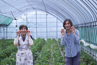 【2026年1月～2月出荷予定】完熟&nbsp;あまおう&nbsp;イチゴ&nbsp;350g×2パック(約700g)＜配送不可：北海道、沖縄県、離島＞