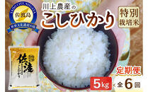 【レビューキャンペーン実施中！】令和7年産&nbsp;佐渡&nbsp;川上農産のコシヒカリ&nbsp;定期便（5kg×全6回）