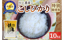 【レビューキャンペーン実施中！】令和7年産&nbsp;佐渡&nbsp;川上農産のコシヒカリ（10kg）
