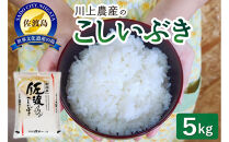 【レビューキャンペーン実施中！】令和7年産&nbsp;佐渡&nbsp;川上農産のこしいぶき（5kg）