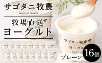 ＼年内発送／ 牧場直送 サゴタニ牧農 ヨーグルト  プレーン　16個セット