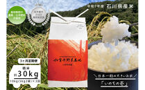 《令和7年産&nbsp;新米》【3ヶ月定期便】【お米番付優秀賞受賞農家】日本一粒の大きいお米『いのちの壱』白米10kg×3回