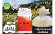 《令和7年産&nbsp;新米》【6ヶ月定期便】【お米番付優秀賞受賞農家】日本一粒の大きいお米『いのちの壱』白米10kg×6回