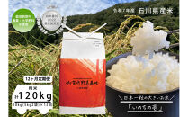 《令和7年産&nbsp;新米》【12ヶ月定期便】【お米番付優秀賞受賞農家】日本一粒の大きいお米『いのちの壱』白米10kg×12回