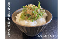 《令和7年産&nbsp;新米》【12ヶ月定期便】【お米番付優秀賞受賞農家】日本一粒の大きいお米『いのちの壱』白米10kg×12回