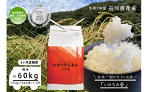 《令和7年産&nbsp;新米》【3ヶ月定期便】【お米番付優秀賞受賞農家】日本一粒の大きいお米『いのちの壱』白米20kg×3回