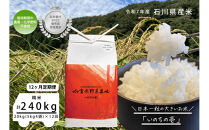 【12ヶ月定期便】【お米番付優秀賞受賞農家】日本一粒の大きいお米『いのちの壱』白米20kg×12回