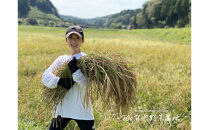 【12ヶ月定期便】【お米番付優秀賞受賞農家】日本一粒の大きいお米『いのちの壱』白米20kg×12回