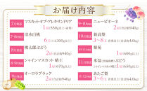 【2026年発送】岡山県産　フルーツ定期便10回コース