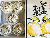 【2026年発送】岡山県産 新高梨 3～6玉 青秀以上 (計約4.0kg)化粧箱入り