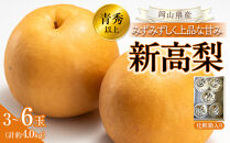 【2026年発送】岡山県産&nbsp;新高梨&nbsp;3～6玉&nbsp;青秀以上&nbsp;(計約4.0kg)化粧箱入り