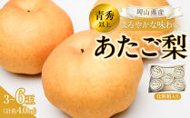 【2026年発送】岡山県産&nbsp;あたご梨&nbsp;3～6玉&nbsp;青秀以上&nbsp;(計約4.0kg)化粧箱入り