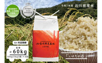 【6ヶ月定期便】【お米番付優秀賞受賞農家】日本一粒の大きいお米『いのちの壱』玄米10kg×6回