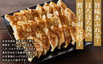 与論島産　ほろほろ鳥の手羽元餃子セット（12個入り）×6pc